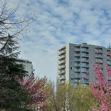 Mulaj 4*