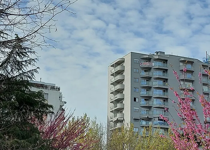 Mulaj 4*